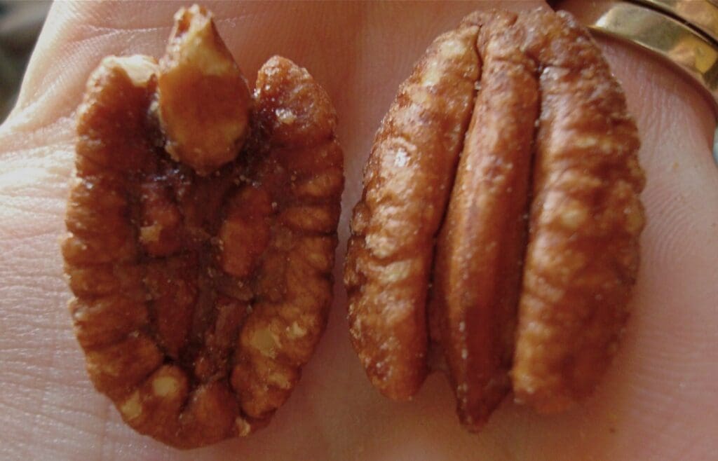 Two pecans in a person's hand.