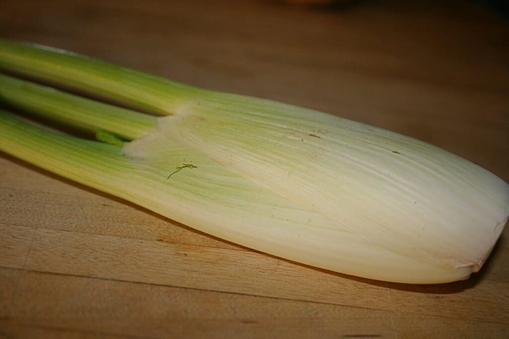 A piece of leek on a cutting board.