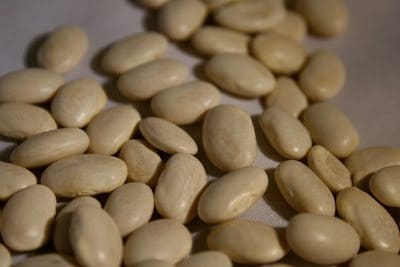 A close up of white beans on a table.